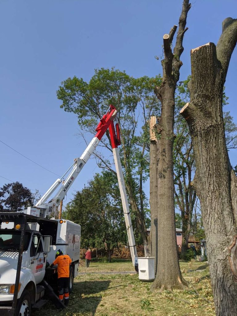 Crane Service