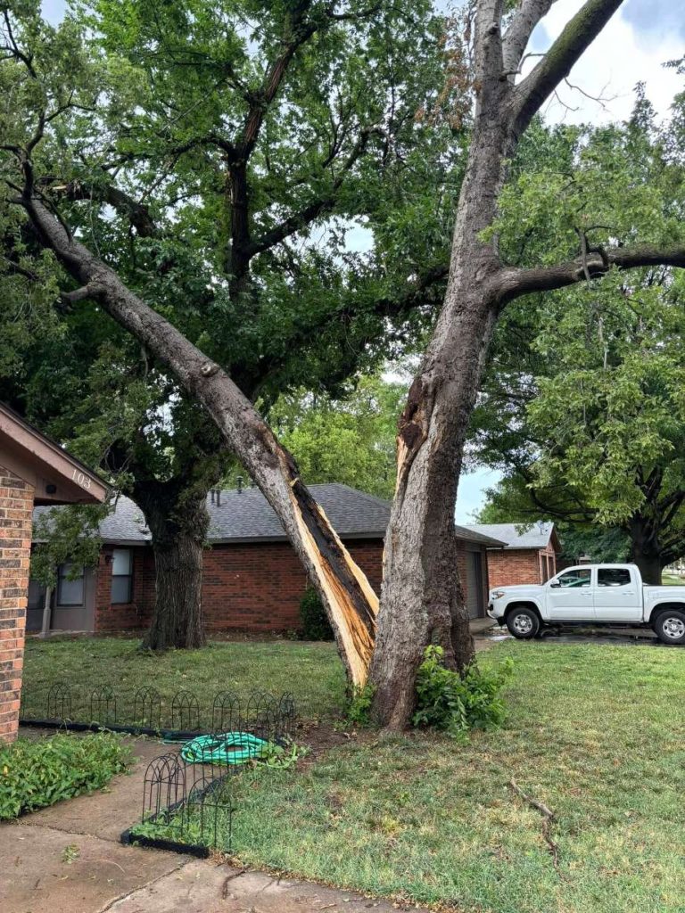 Emergency Tree Service