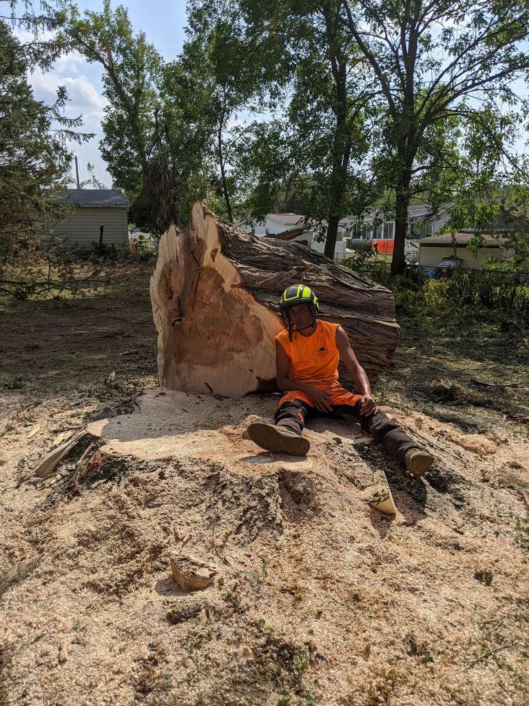 Stump Grinding