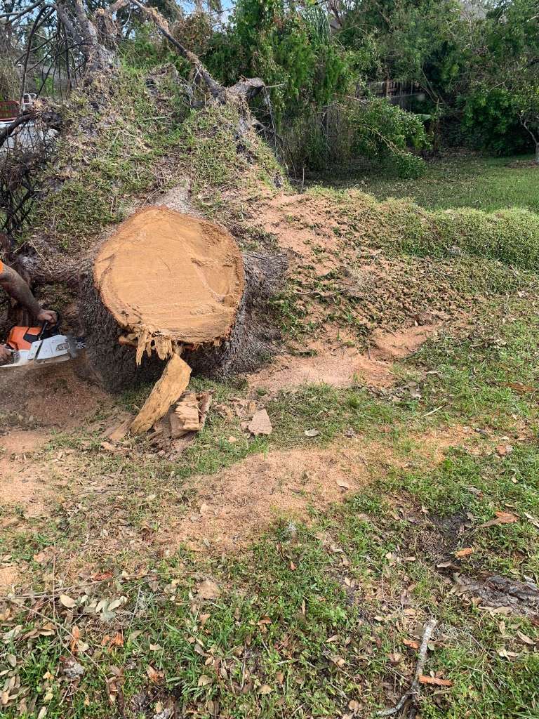 Stump Removal