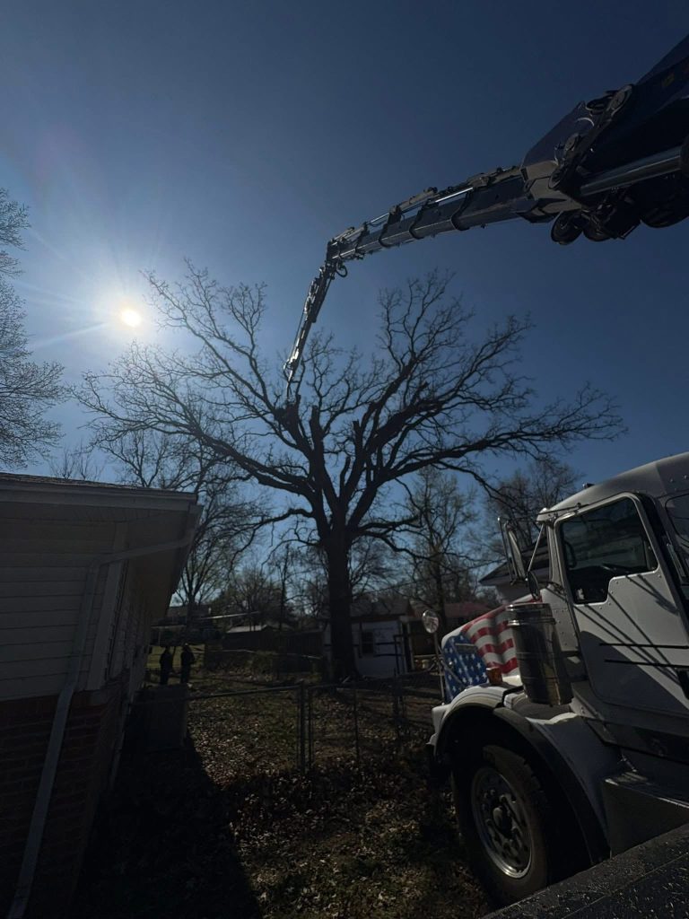 Tree Trimming